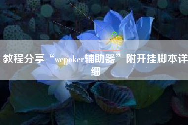 教程分享“wepoker辅助器”附开挂脚本详细