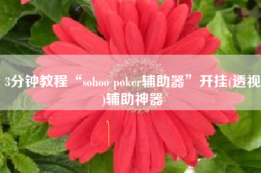 3分钟教程“sohoo poker辅助器	”开挂(透视)辅助神器