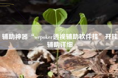 辅助神器“wepoker透视辅助软件挂”开挂辅助详细