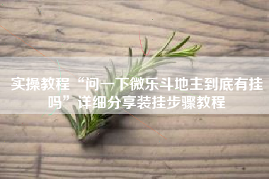 实操教程“问一下微乐斗地主到底有挂吗”详细分享装挂步骤教程