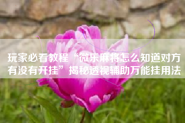 玩家必看教程“微乐麻将怎么知道对方有没有开挂”揭秘透视辅助万能挂用法