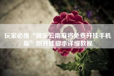 玩家必搜“微乐云南麻将免费开挂手机版”附开挂脚本详细教程