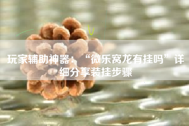 玩家辅助神器：“微乐窝龙有挂吗	”详细分享装挂步骤