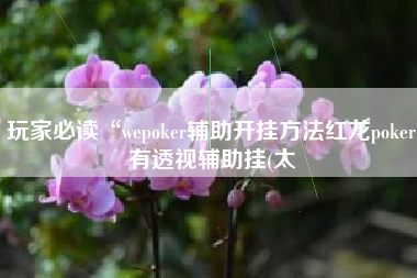 玩家必读“wepoker辅助开挂方法红龙poker有透视辅助挂(太