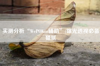 实测分析“WePOKer辅助”(曝光透视必备猫腻
