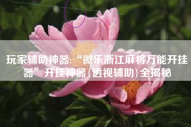 玩家辅助神器:“微乐浙江麻将万能开挂器	”开挂神器{透视辅助}全揭秘