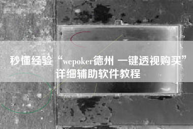 秒懂经验“wepoker德州 一键透视购买	”详细辅助软件教程