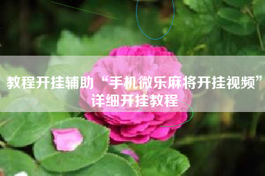 教程开挂辅助“手机微乐麻将开挂视频”详细开挂教程