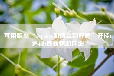 可用版本“wepoker如何拿到好牌”开挂(透视)最新辅助详细