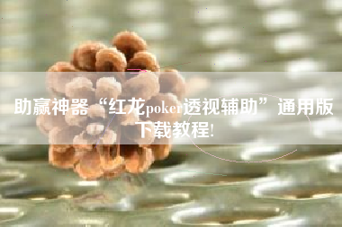 助赢神器“红龙poker透视辅助	”通用版下载教程!
