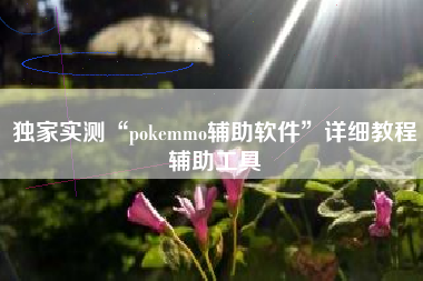 独家实测“pokemmo辅助软件”详细教程辅助工具