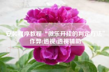 安装程序教程“微乐开挂的判定方法	”作弊(透视)透视辅助