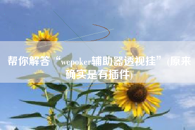 帮你解答“wepoker辅助器透视挂	”(原来确实是有插件)