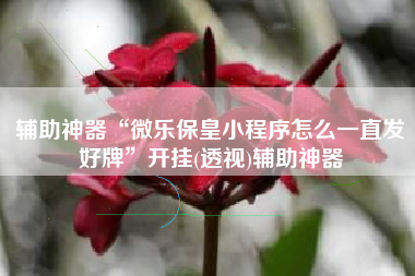 辅助神器“微乐保皇小程序怎么一直发好牌”开挂(透视)辅助神器