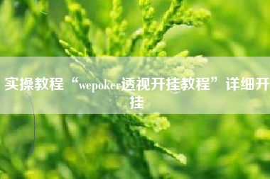 实操教程“wepoker透视开挂教程”详细开挂