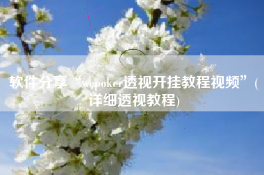 软件分享“wepoker透视开挂教程视频”(详细透视教程)