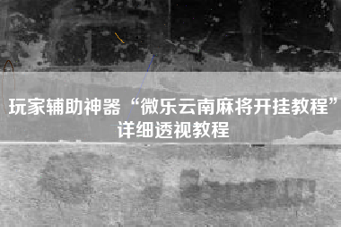 玩家辅助神器“微乐云南麻将开挂教程	”详细透视教程
