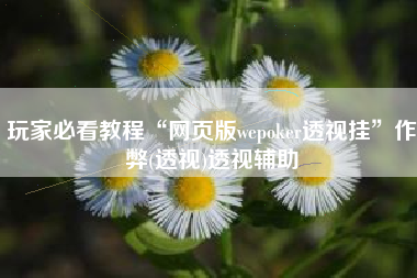 玩家必看教程“网页版wepoker透视挂”作弊(透视)透视辅助