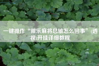 一键操作“微乐麻将总输怎么回事”(透视)开挂详细教程