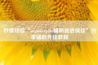 秒懂经验“wepokerplus辅助器透视挂	”分享辅助外挂教程