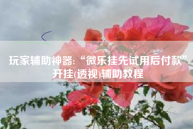 玩家辅助神器:“微乐挂先试用后付款”开挂(透视)辅助教程