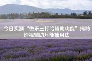 今日实测“微乐三打哈辅助功能”揭秘透视辅助万能挂用法