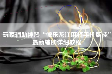 玩家辅助神器“微乐龙江麻将手机版挂”最新辅助详细教程