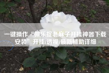 一键操作“微乐捉老麻子开挂神器下载安装	”开挂(透视)最新辅助详细
