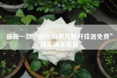 最新一款“微乐麻将万能开挂器免费”其实确实有挂