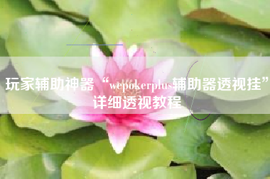 玩家辅助神器“wepokerplus辅助器透视挂”详细透视教程