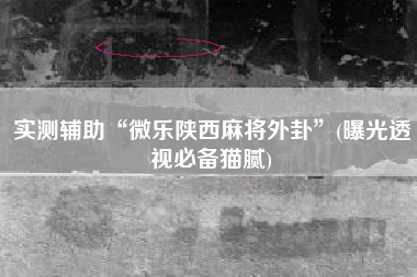 实测辅助“微乐陕西麻将外卦	”(曝光透视必备猫腻)