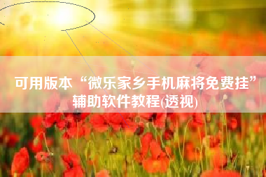 可用版本“微乐家乡手机麻将免费挂”辅助软件教程(透视)