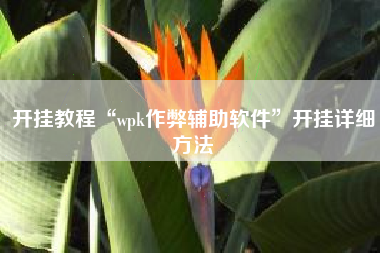 开挂教程“wpk作弊辅助软件”开挂详细方法