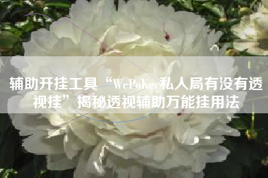辅助开挂工具“WePoKer私人局有没有透视挂	”揭秘透视辅助万能挂用法