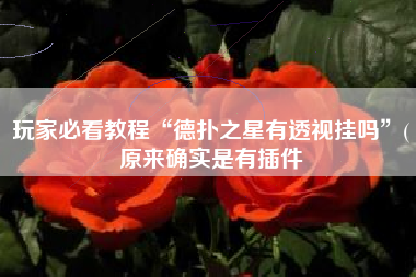 玩家必看教程“德扑之星有透视挂吗	”(原来确实是有插件