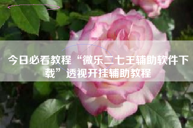 今日必看教程“微乐二七王辅助软件下载”透视开挂辅助教程