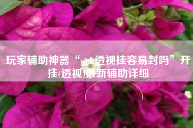 玩家辅助神器“wpk透视挂容易封吗”开挂(透视)最新辅助详细