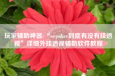 玩家辅助神器:“wepoker到底有没有挂透视”详细外挂透视辅助软件教程