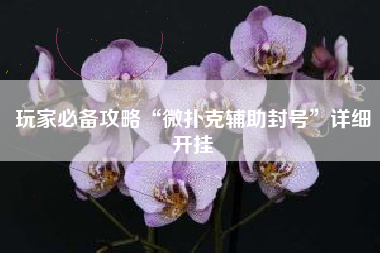 玩家必备攻略“微扑克辅助封号”详细开挂