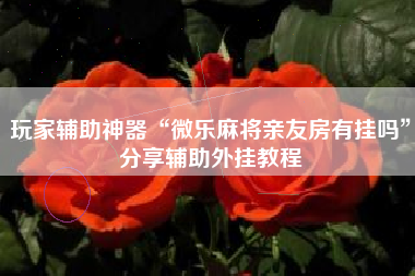 玩家辅助神器“微乐麻将亲友房有挂吗”分享辅助外挂教程
