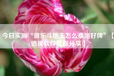 今日实测“微乐斗地主怎么拿到好牌	”【透视软件教程分享】