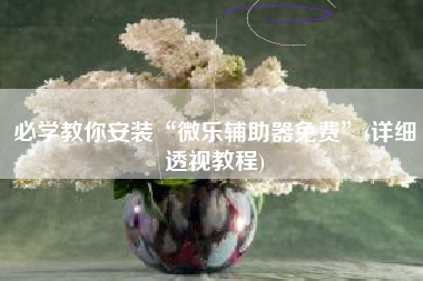 必学教你安装“微乐辅助器免费	”(详细透视教程)