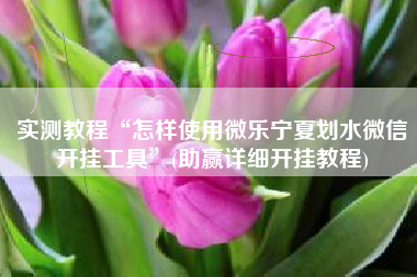 实测教程“怎样使用微乐宁夏划水微信开挂工具”(助赢详细开挂教程)