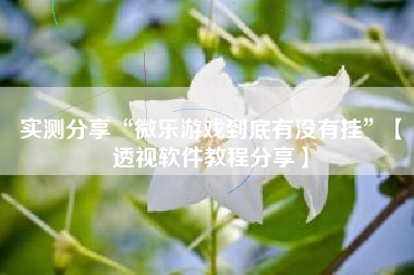 实测分享“微乐游戏到底有没有挂”【透视软件教程分享】