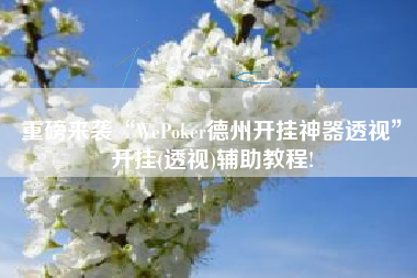 重磅来袭“WePoker德州开挂神器透视”开挂(透视)辅助教程!