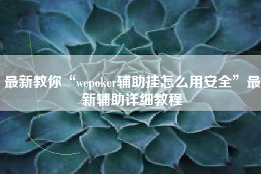 最新教你“wepoker辅助挂怎么用安全”最新辅助详细教程