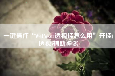 一键操作“WePoker透视挂怎么用”开挂(透视)辅助神器