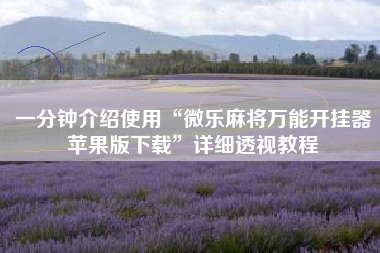 一分钟介绍使用“微乐麻将万能开挂器苹果版下载”详细透视教程