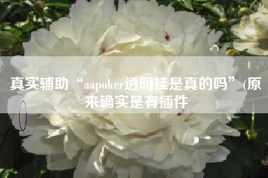 真实辅助“aapoker透明挂是真的吗	”(原来确实是有插件