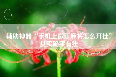 辅助神器“手机上微乐麻将怎么开挂”其实确实有挂